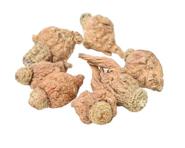 Lepidium Peruvianum (MACA)